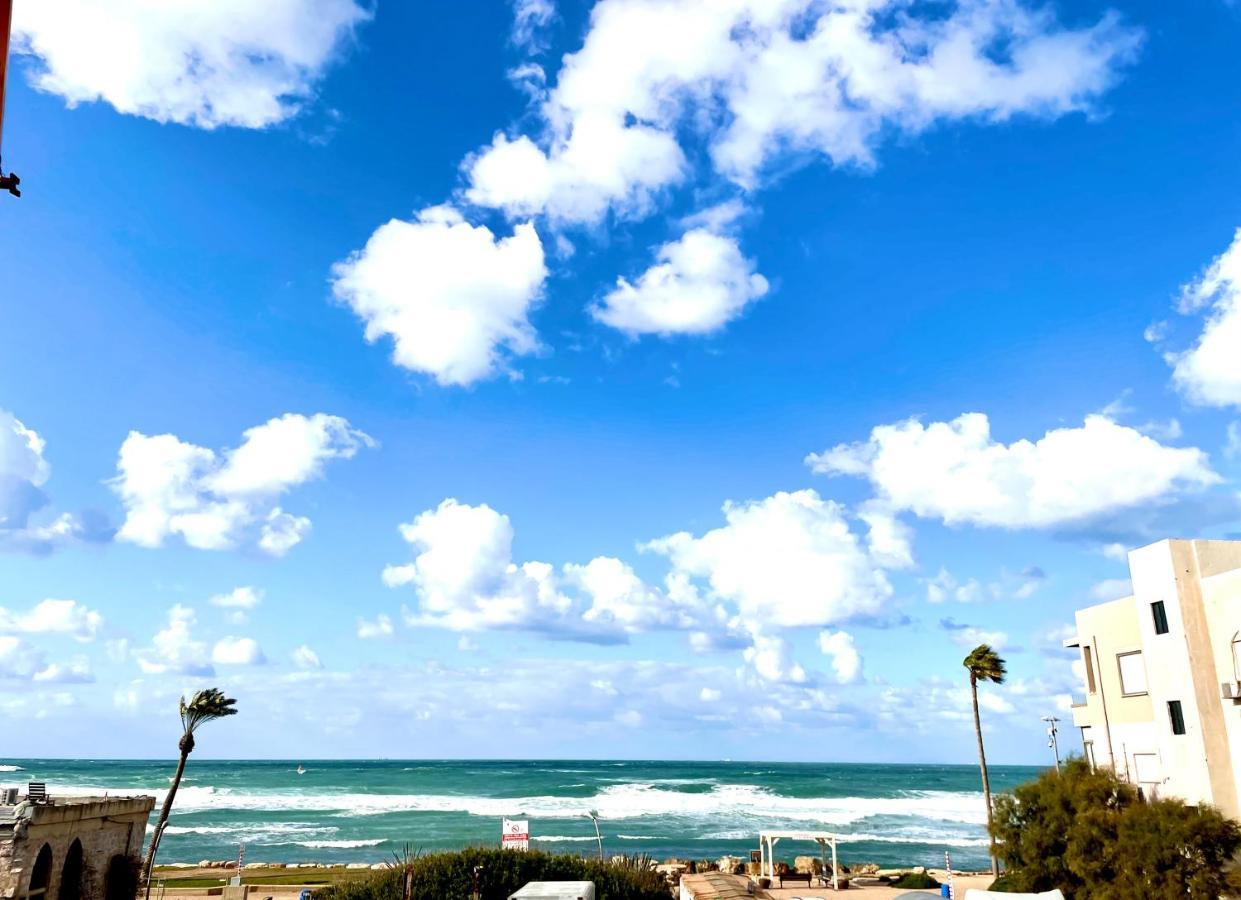 Sea View Cozy Apartment حيفا المظهر الخارجي الصورة