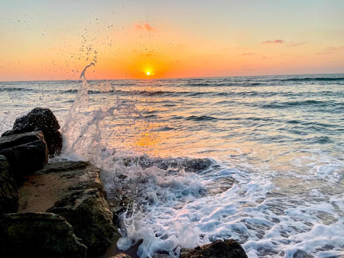 Sea View Cozy Apartment حيفا المظهر الخارجي الصورة