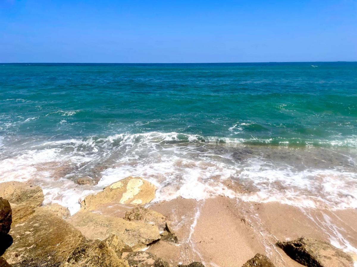 Sea View Cozy Apartment حيفا المظهر الخارجي الصورة